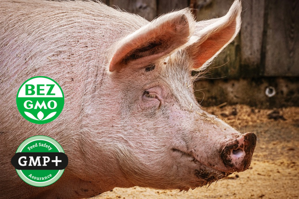 Koncentrat białkowo energetyczny BO 30 MSRS